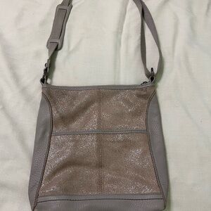 Chic The Sak Metallic Crossbody Bag